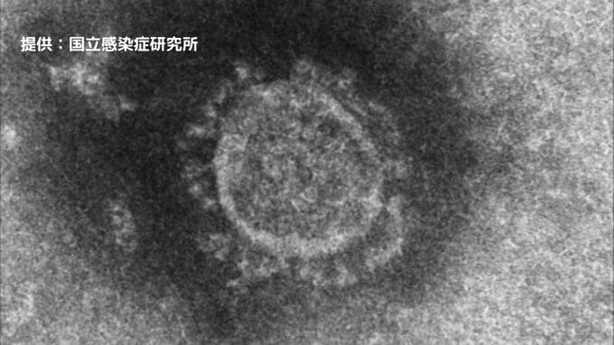 「簡単な風邪で終わらない可能性も」コロナ5類移行から1年　|　沖縄のニュース｜RBC 琉球放送
