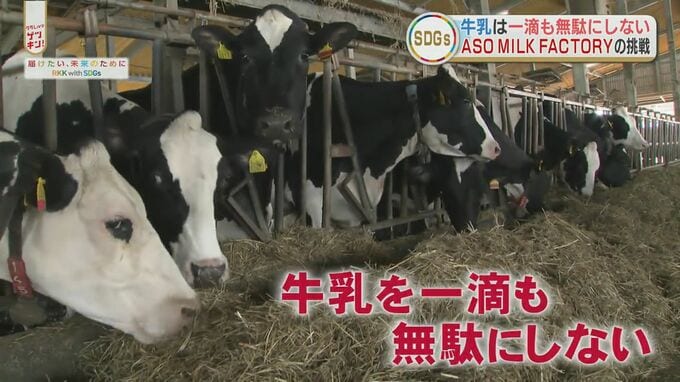 「牛乳を一滴も無駄にしない！」廃棄される「ホエイ」に酪農家が活用方法を模索　|　熊本のニュース｜RKK NEWS｜RKK熊本放送