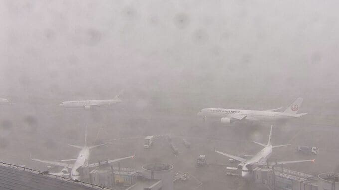 雷雨の影響で空の便に大幅な乱れ　ANAは73便欠航　JALは55便欠航|TBS NEWS DIG