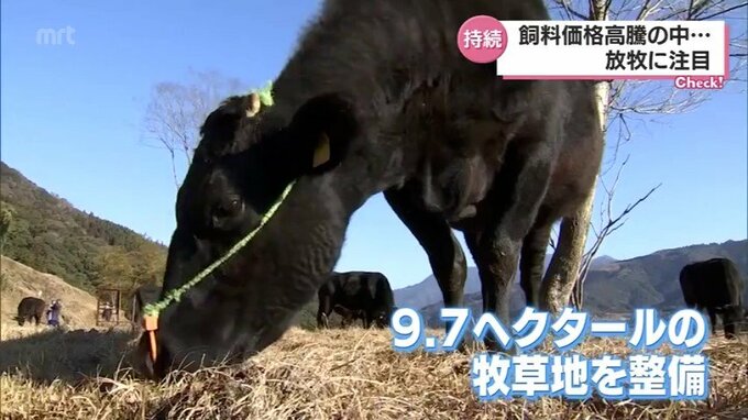 「牛に良し　人に良し　環境に良し」耕作放棄地などの有効活用も　「放牧」に注目　|　MRTニュース ｜ ＭＲＴ宮崎放送