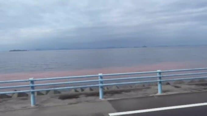 真冬の伊予灘を赤く染める「夜光虫」 初夏に発生が集中する赤潮が異例の12月に確認される 愛媛・伊予市　|　愛媛のニュース - Nスタえひめ｜あいテレビは6チャンネル