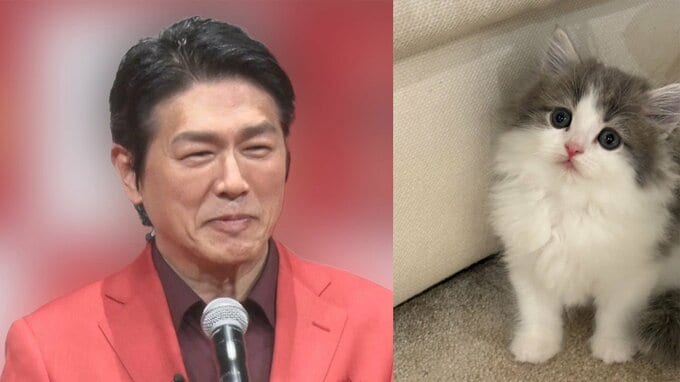 【 ねこ 】　高橋克典さんが新しい家族を紹介　サイベリアンの子猫「ラヴィくん」をお迎え　先住猫の猫パンチにも動じない　「大物の予感」|TBS NEWS DIG