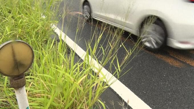 ひき逃げ後 基地内に逃走か　米空軍兵を過失運転傷害などの容疑で書類送検|TBS NEWS DIG