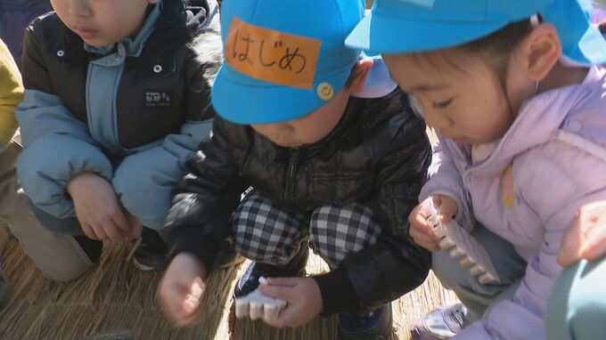 「食のありがたみを感じてほしい」園児が原木シイタケの植菌を初体験　|　石川県のニュース｜MRO北陸放送