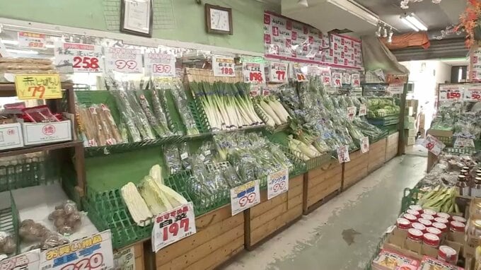 東京23区の消費者物価　“下振れ” の実態　保育料無償化の影響大もインフレ基調は継続