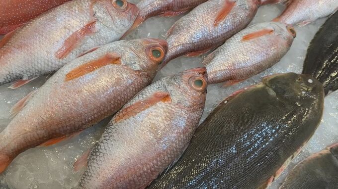 【速報】台湾が日本産食品の輸入規制すべて撤廃を発表