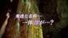 「秀逸な名前　名付けたのは…」秋の観光シーズン間近　秋芳洞の謎を徹底調査　|　山口のニュース・天気・防災｜tys NEWS｜ｔｙｓテレビ山口