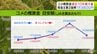【詳報】コメの「生産者概算金」の目安額　「はれわたり」と「まっしぐら」は1万3800円で前年の半分ほどに　過去10年で最大の下げ幅に「いままでにない在庫量、今年産の生産量等々を勘案して設定」　|　青森のニュース│ATV NEWS│青森テレビ