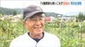 『生成ＡＩ』納豆と肉じゃがを使った洋風レシピ・ＬＩＮＥ返信文・読み聞かせ etc…　74歳ナス農家も使いこなす　|　新潟のニュース・天気｜BSN NEWS｜BSN新潟放送