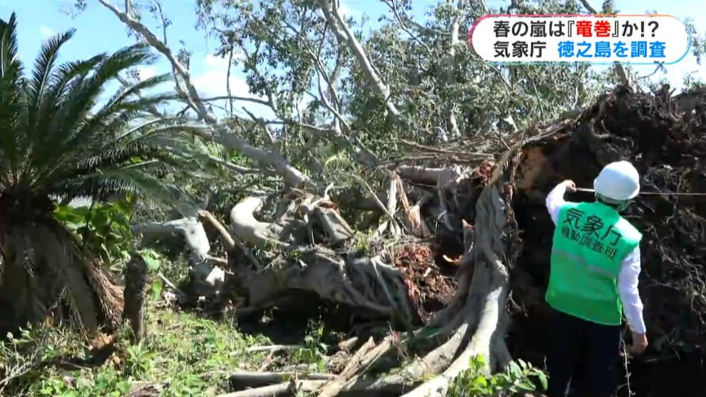 不遷流 巻物　秘伝　明治の巻物　入手困難　保存品 不遷流 巻物 秘伝 明治の巻物 入手困難 保存品 | ヤマダウェブコム