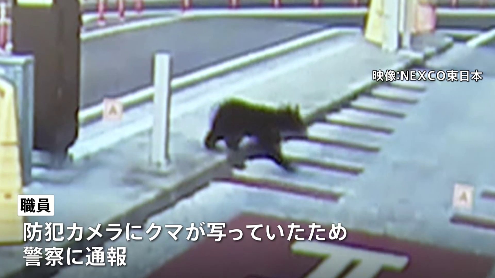 img_18efbecf35dc619cddd4502d67