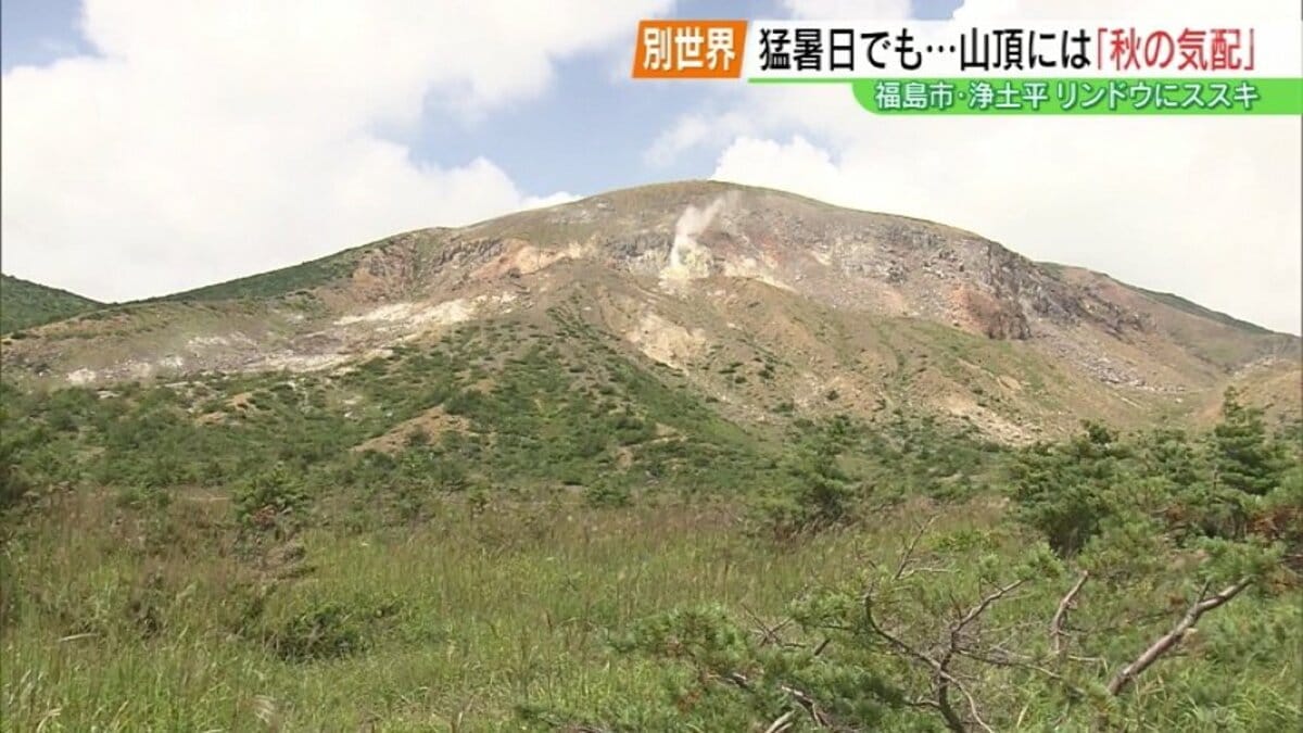 風があってスースーと…」猛暑日の福島市、浄土平は別世界 植物が秋の