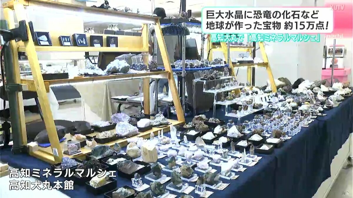 巨大水晶に恐竜の化石など地球が作った宝物が約15万点！　高知大丸で「高知ミネラルマルシェ」