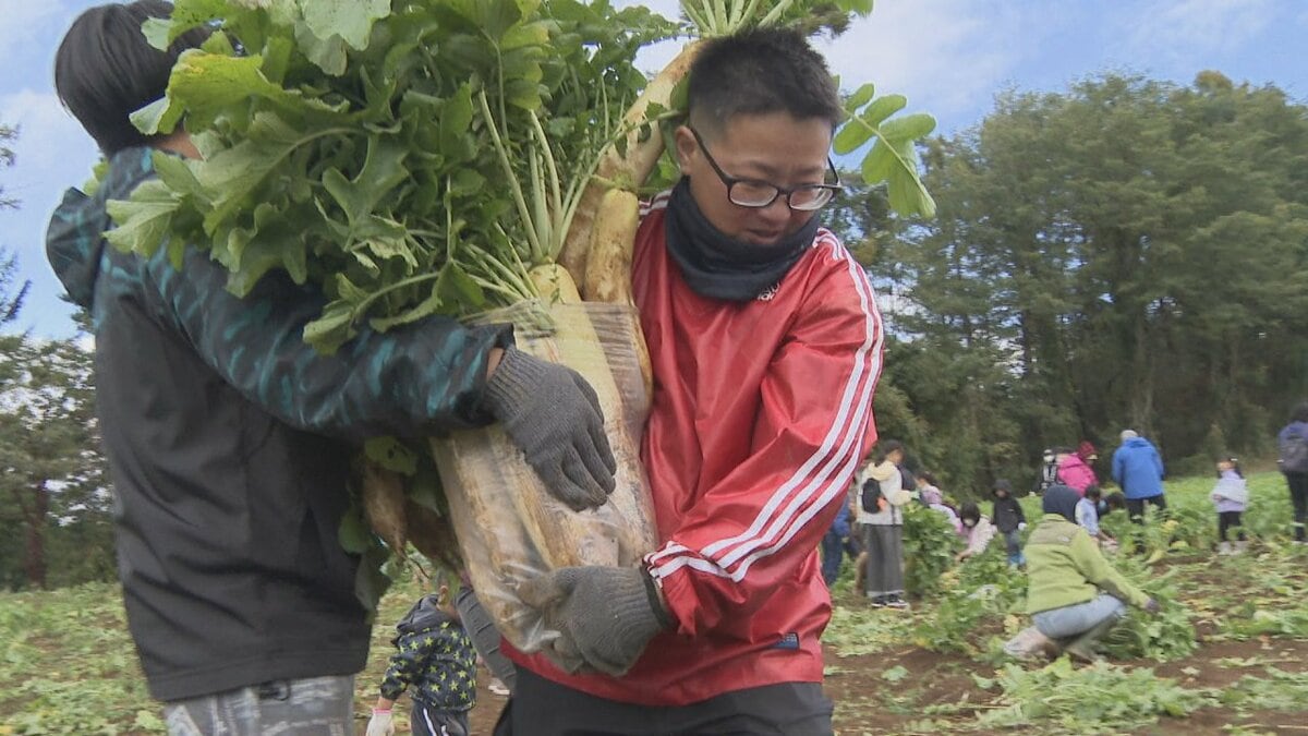 詰めて！詰めて！まだ詰める！　1000円でビニール袋に入るだけ持ち帰れる　恒例の「浅尾大根祭り」　北杜市明野町