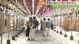 涼を感じて800個の風鈴参道　いわき市の國魂神社　福島　|　福島のニュース│TUF