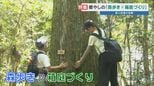 【体験ルポ】ユニークな癒やしプログラム 「森と箱庭」が大人たちの心をすっきりさせる秘密 熊本|TBS NEWS DIG