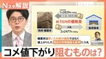備蓄米放出も…コメの値下がりを阻む“入札制度” 専門家「制度そのものを見直すべき」【Nスタ解説】|TBS NEWS DIG