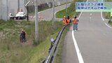 お騒がせクマついに御用 岩手・大槌町のクマ麻酔打たれて捕獲される|TBS NEWS DIG