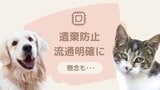 ペットの“幸せ”に寄与?マイクロチップ義務化 既存の1600万頭は対象外「アレルギー」懸念も | 福岡のニュース|RKB NEWS|RKB毎日放送