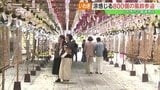 涼を感じて800個の風鈴参道 いわき市の國魂神社 福島 | 福島のニュース│TUF