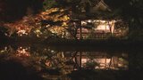 宝生寺の紅葉5分の色づき ライトアップ始まる 大分・豊後大野市 | 大分のニュース|OBS NEWS|大分放送