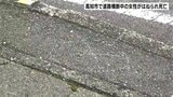 高知市で道路横断中の女性(61)がはねられ死亡 現場は片側1車線の路面電車が通る道路|TBS NEWS DIG