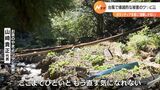 【静岡豪雨】「ほんと涙出てくる」数百年の歴史持つ「ワサビ田」壊滅的被害も…ボランティアの力で復旧や収穫-静岡・清水区 | 静岡のニュース | SBSNEWS | 静岡放送