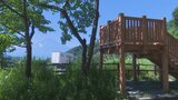 国道でクマ1頭の目撃情報 近くには富士山が一望できる観光スポットの展望台も | 山梨のニュース | UTYテレビ山梨