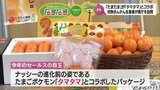 みやざき完熟きんかん「たまたま」 ポケモン「タマタマ」とのコラボで人気UP狙う|TBS NEWS DIG