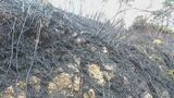 「再燃のおそれなし」7日発生の長崎県五島市の山火事 鎮火発表 五島市消防局 | 長崎のニュース | 天気 | NBC長崎放送
