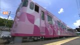 観光列車「SAKU美SAKU楽」を利用した旅企画やフルーツ狩り 「おかやま夏旅キャンペーン」あす開始【岡山】|TBS NEWS DIG