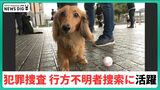 "15頭を採用"「犯罪捜査、行方不明者の捜索に活躍」 嘱託警察犬　|　石川県のニュース｜MRO北陸放送
