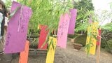 俳句の聖地で小学生が短冊に「俳句」で願い事をしたためる さて、どんな一句が詠めたかな?|TBS NEWS DIG