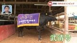 和牛ブランド向上へ目指せ日本一!“和牛のオリンピック”とは | 山口のニュース・天気・防災|tys NEWS|tysテレビ山口