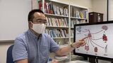 新型コロナの後遺症はなぜ起きるのか?岡山大学と豊橋技術科学大学の研究チームが発表「感染するとウイルスが体内に残り続ける可能性」 | 岡山・香川のニュース | 天気 | RSK山陽放送