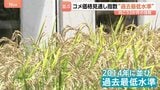 コメ価格 向こう3か月の見通し示す指数“過去最低”に 「安売り広がる」観測強まる|TBS NEWS DIG