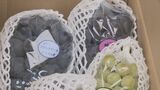 「今年は最高の出来」須金ぶどうと梨がゆうパックで全国へ 山口県周南市|TBS NEWS DIG