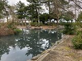 公園の池でみつかった遺体 82歳女性と判明 富山・滑川 | 富山のニュース|天気・防災|チューリップテレビ