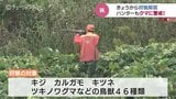 キジやカルガモ狙ってハンター集結!狩猟解禁 ことしはクマの出没に注意して!「急に現れたら撃つしかない…」|TBS NEWS DIG