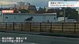 国道を走り抜け軽やかにジャンプ!ドライブレコーダーに映っていたのは…シカ? 富山 | 富山のニュース|天気・防災|チューリップテレビ