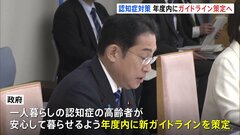 政府　認知症対策 年度内にガイドライン策定へ　「レカネマブ」に関する検査・相談体制の整備も| TBS CROSS DIG with Bloomberg
