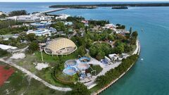 「イルカ売ります」、破産した米水族館パーク会社－飼育の継続難しく| TBS CROSS DIG with Bloomberg