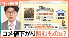 備蓄米放出も…コメの値下がりを阻む“入札制度”　専門家「制度そのものを見直すべき」【Nスタ解説】| TBS CROSS DIG with Bloomberg
