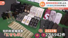 去年、税関で差し止めの知財侵害品2.6万件　3年連続2.5万件超　財務省| TBS CROSS DIG with Bloomberg