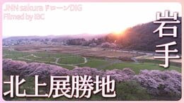 北上展勝地 満開の桜【JNN sakuraドローンDIG 2023】|TBS NEWS DIG