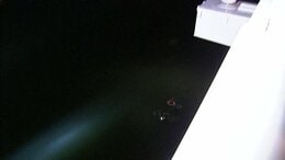 「ものすごく恐ろしい決断」「紘彬は死ぬっていうこと」【海の中道大橋 3児死亡飲酒事故】母・大上かおりさん初めての言葉③　|TBS NEWS DIG