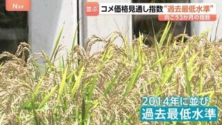 コメ価格 向こう3か月の見通し示す指数“過去最低”に 「安売り広がる」観測強まる| TBS CROSS DIG with Bloomberg