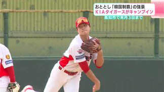 2024年「韓国制覇」の強豪　KIAタイガースの2軍がキャンプイン　高知市で3月3日まで　|　高知のニュース・天気｜KUTV NEWS | KUTVテレビ高知