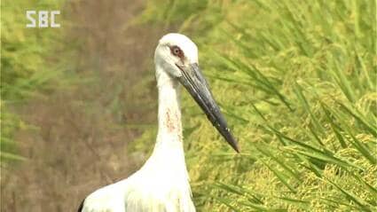 img_18c2f0806b48d5e05250ba9a91