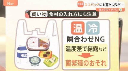 5月の食中毒”に要注意！「食中毒対策は買い物の時から始まっている